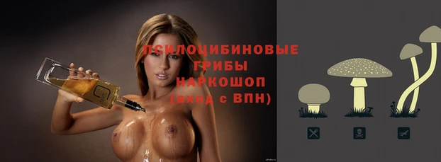 наркотики Абаза