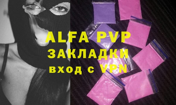 стафф Алзамай
