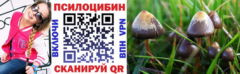 Псилоцибиновые грибы Cubensis  где продают   Мостовской 